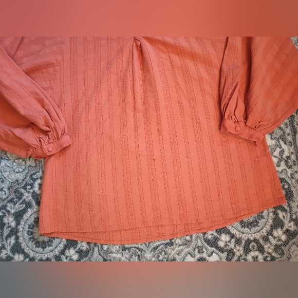 Madewell Embroidered Peasant Top Small Terracotta Button Balloon Cottagecore - Picture 3 of 10